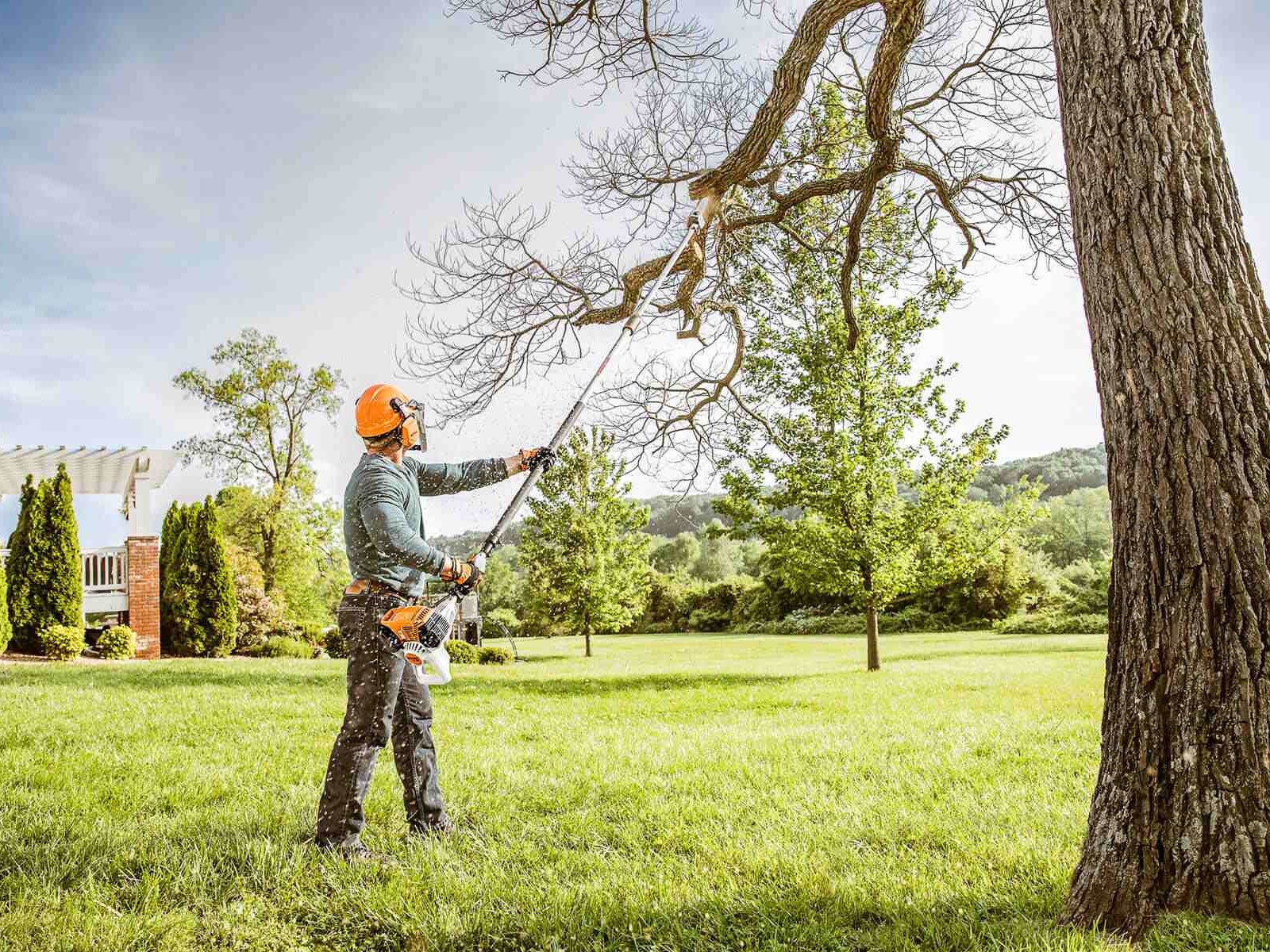 Tree-trimming-from-ground